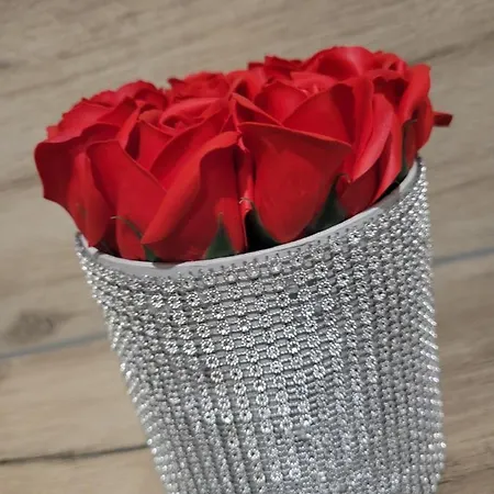 Niebo アパート コバリ