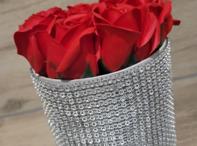 Niebo Appartement Kowary